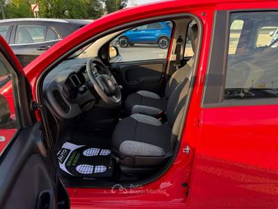 Fiat Panda FireFly S&S Hybrid Rosso usata Ferrara