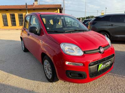 Fiat Panda FireFly S&S Hybrid Rosso usata Ferrara