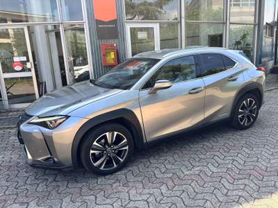 Lexus UX 250h 2.0 CV 184 Luxury 2wd Cvt TAGLIANDI UFFICIALI !! Grigio usata Cormano