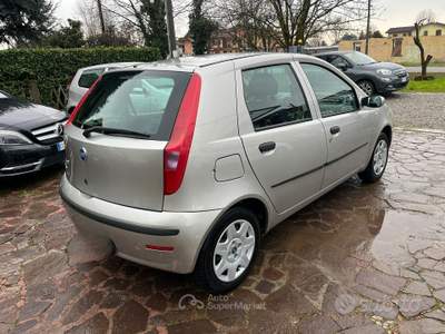 Fiat Punto 1.2 5 porte Dynamic usata Arcene