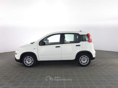 Fiat Panda Panda 1.0 FireFly S&S Hybrid Bianco usata Parma