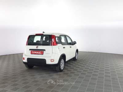 Fiat Panda Panda 1.0 FireFly S&S Hybrid Bianco usata Parma