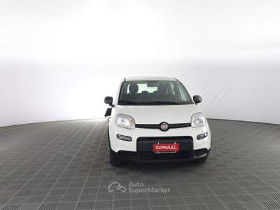 Fiat Panda Panda 1.0 FireFly S&S Hybrid Bianco usata Parma