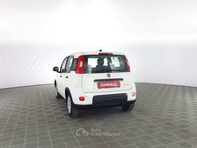 Fiat Panda Panda 1.0 FireFly S&S Hybrid Bianco usata Parma