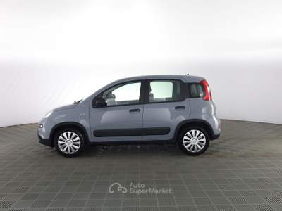Fiat Panda Panda 1.0 FireFly Hybrid City Life Grigio usata Parma