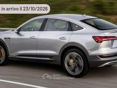 Audi Q4 105cv Argento usata Pieve di Cento