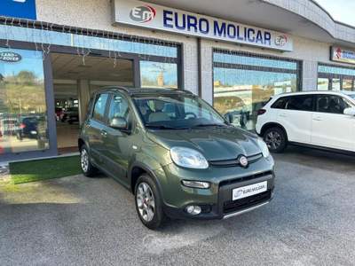 Fiat Panda 1.3 MJT 4x4 ELD Verde usata Campodipietra