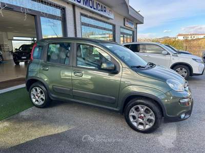 Fiat Panda 1.3 MJT 4x4 ELD Verde usata Campodipietra