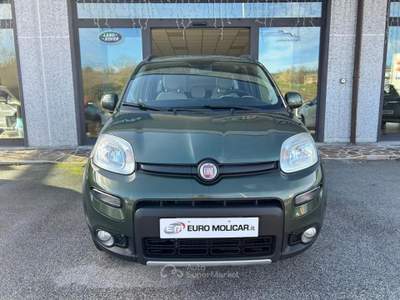 Fiat Panda 1.3 MJT 4x4 ELD Verde usata Campodipietra