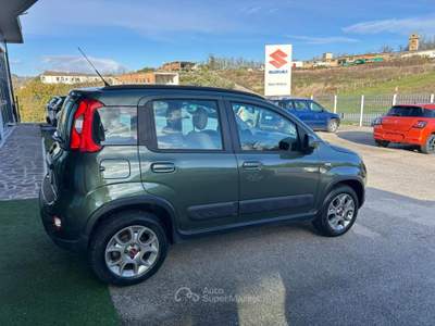 Fiat Panda 1.3 MJT 4x4 ELD Verde usata Campodipietra