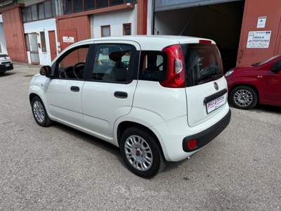 Fiat Panda 1.0 FireFly Hybrid PREZZO REALE Bianco usata Villorba