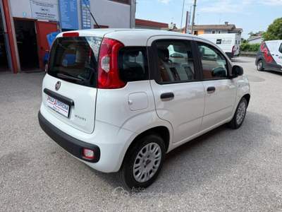 Fiat Panda 1.0 FireFly Hybrid PREZZO REALE Bianco usata Villorba