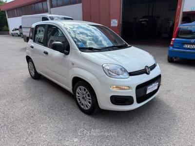 Fiat Panda 1.0 FireFly Hybrid PREZZO REALE Bianco usata Villorba