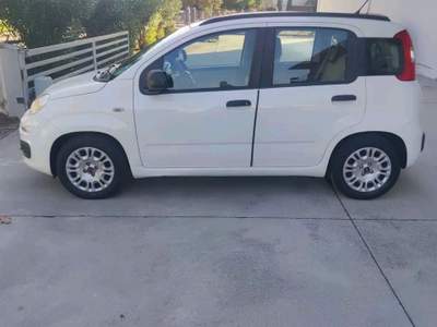 Fiat Panda Fiat Panda 1.2 Bianco usata Bergamo