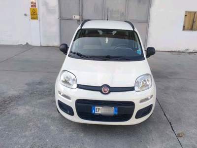 Fiat Panda Fiat Panda 1.2 Bianco usata Bergamo