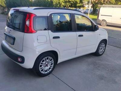 Fiat Panda Fiat Panda 1.2 Bianco usata Bergamo