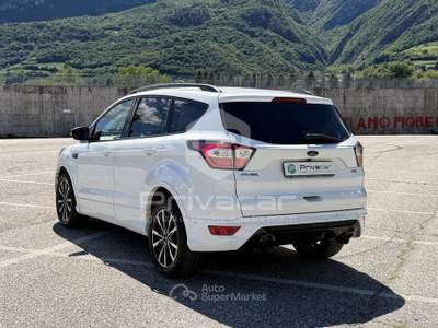 Ford Kuga FORD Kuga 2.0 TDCI 150 CV S&S 4WD Powershift ST-Line Bianco usata Trento