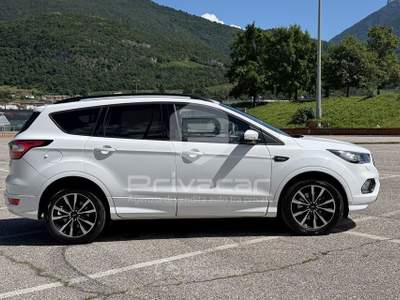 Ford Kuga FORD Kuga 2.0 TDCI 150 CV S&S 4WD Powershift ST-Line Bianco usata Trento