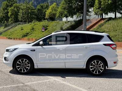 Ford Kuga FORD Kuga 2.0 TDCI 150 CV S&S 4WD Powershift ST-Line Bianco usata Trento