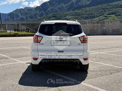Ford Kuga FORD Kuga 2.0 TDCI 150 CV S&S 4WD Powershift ST-Line Bianco usata Trento