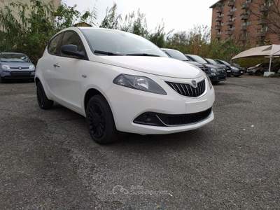 Lancia Ypsilon Ypsilon iii - ypsilon 1.2 gold gpl 69cv Bianco usata Viterbo