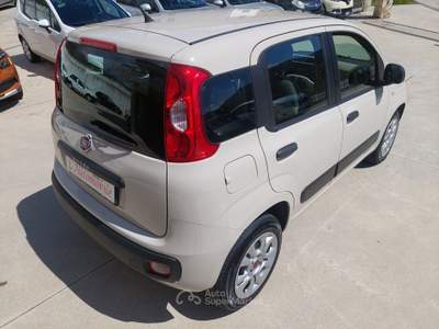Fiat Panda Turbo Natural Power Lounge Oro usata Balvano
