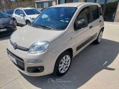 Fiat Panda Turbo Natural Power Lounge Oro usata Balvano