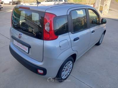 Fiat Panda EasyPower GPL 2020 80.000KM Grigio usata Balvano