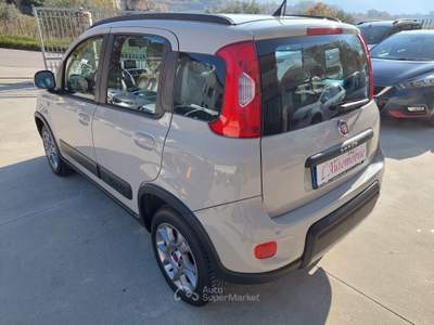 Fiat Panda S&S 4x4-ELD Antartica Bronzo usata Balvano