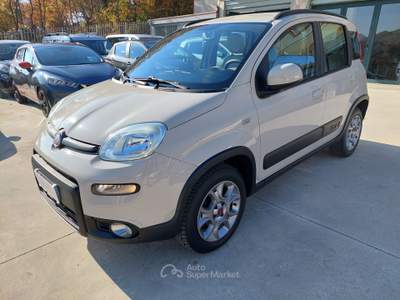 Fiat Panda S&S 4x4-ELD Antartica Bronzo usata Balvano