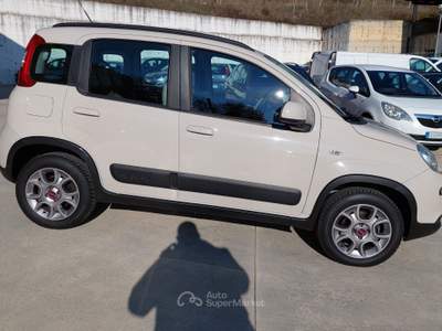 Fiat Panda S&S 4x4-ELD Antartica Bronzo usata Balvano