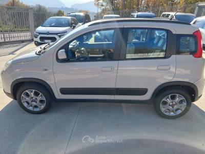 Fiat Panda S&S 4x4-ELD Antartica Bronzo usata Balvano