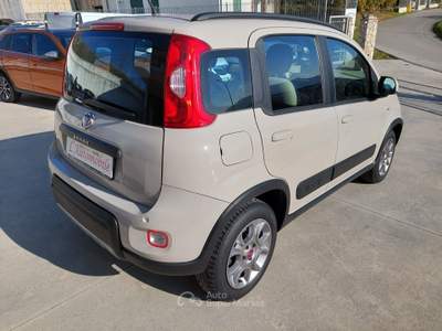 Fiat Panda S&S 4x4-ELD Antartica Bronzo usata Balvano