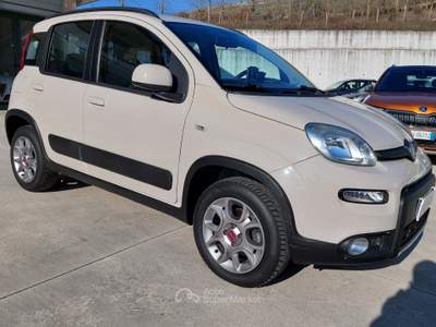 Fiat Panda S&S 4x4-ELD Antartica Bronzo usata Balvano