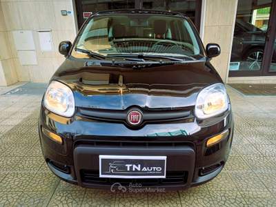 Fiat Pandina non fumatore Nero usata Andria