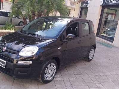 Fiat Pandina non fumatore Nero usata Andria