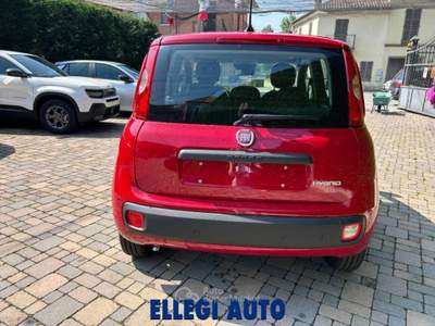 Fiat Panda 1.0 HYBRID ICON 5 posti KM 0 Rosso usata CASTELLO DI ANNONE