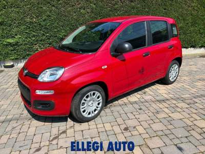 Fiat Panda 1.0 HYBRID ICON 5 posti KM 0 Rosso usata CASTELLO DI ANNONE