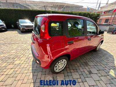 Fiat Panda 1.0 HYBRID ICON 5 posti KM 0 Rosso usata CASTELLO DI ANNONE