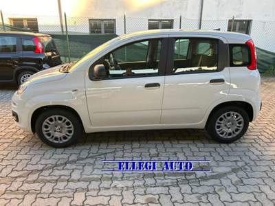 Fiat Panda PROMO FINANZ  1.0 HYBRID ICON KM 0 Bianco usata CASTELLO DI ANNONE