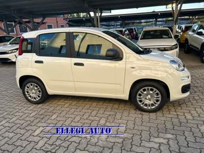 Fiat Panda PROMO FINANZ 1.0 HYBRID ICON  KM 0 Bianco usata CASTELLO DI ANNONE