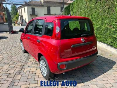 Fiat Panda PROMO FINANZIAM 1.0 HYBRID ICON 5 posti KM 0 Rosso usata CASTELLO DI ANNONE