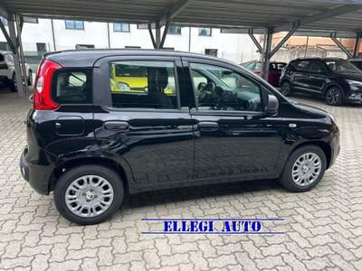 Fiat Panda PROMO FINANZIAM 1.0 HYBRID ICON 5 posti KM 0 Nero usata CASTELLO DI ANNONE