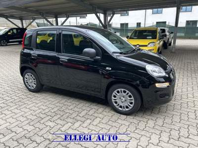 Fiat Panda PROMO FINANZIAM 1.0 HYBRID ICON 5 posti KM 0 Nero usata CASTELLO DI ANNONE