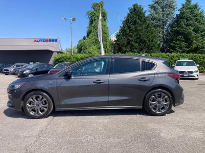 Ford Focus 1.0 EcoBoost Hybrid 125CV 5p. ST-Line Grigio usata San Stino di Livenza