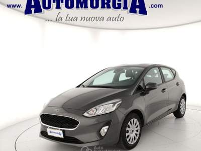 Ford Fiesta 1.1 75 CV 5 porte Titanium Grigio usata Barletta