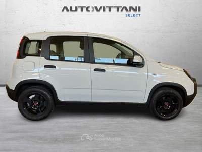 Fiat Panda Panda Cross 1.0 FireFly Hybrid 70cv S&S 5p.ti Bianco usata Como