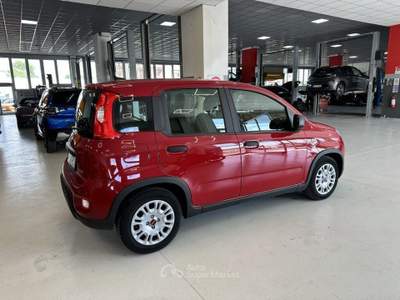 Fiat Panda 1.0 FireFly Hybrid Rosso usata Moncalieri