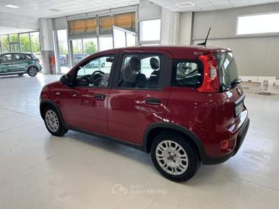 Fiat Panda 1.0 FireFly Hybrid Rosso usata Moncalieri