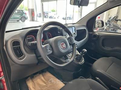Fiat Panda 1.0 FireFly Hybrid Rosso usata Moncalieri